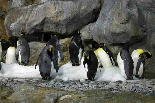 Comment la clim fait du froid ?